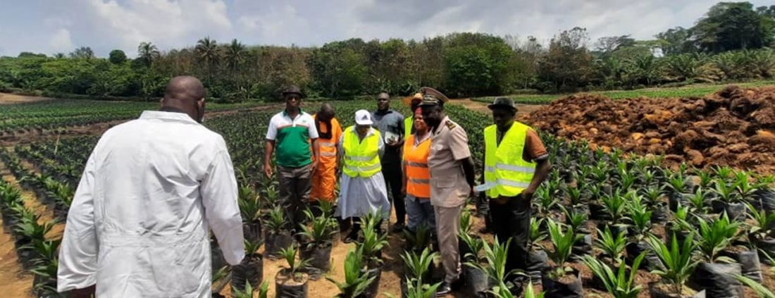 Bonnes Pratiques agricoles : Mme Juliette Sassou NGUESSO (Congo Brazza) en visite de travail à l’UAI d’EHANIA