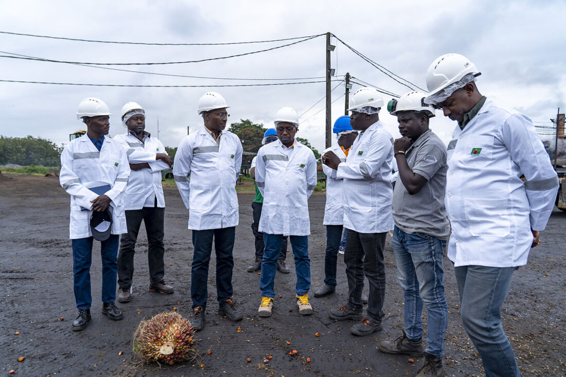 VISITE DU DIRECTEUR GÉNÉRAL DU CONSEIL HÉVÉA PALMIER À HUILE SUR LE SITE DE IROBO